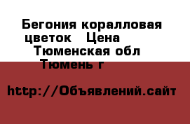 Бегония коралловая цветок › Цена ­ 100 - Тюменская обл., Тюмень г.  »    